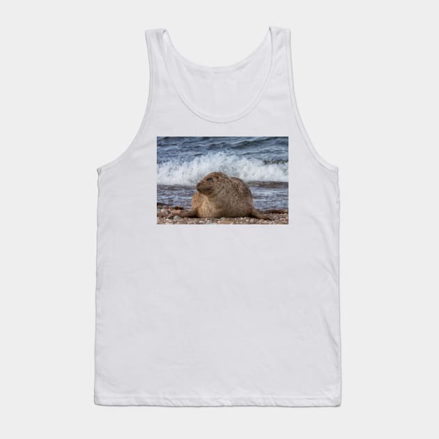 A common seal at Portgordon Scotland Tank Top by dianecmcac